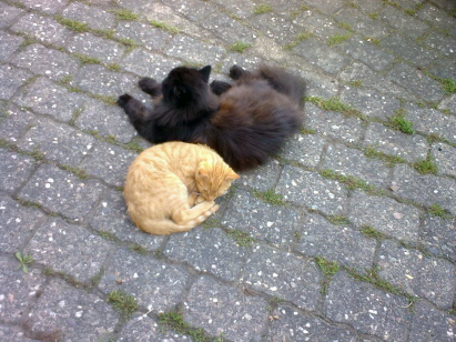 Romeo und Moritz